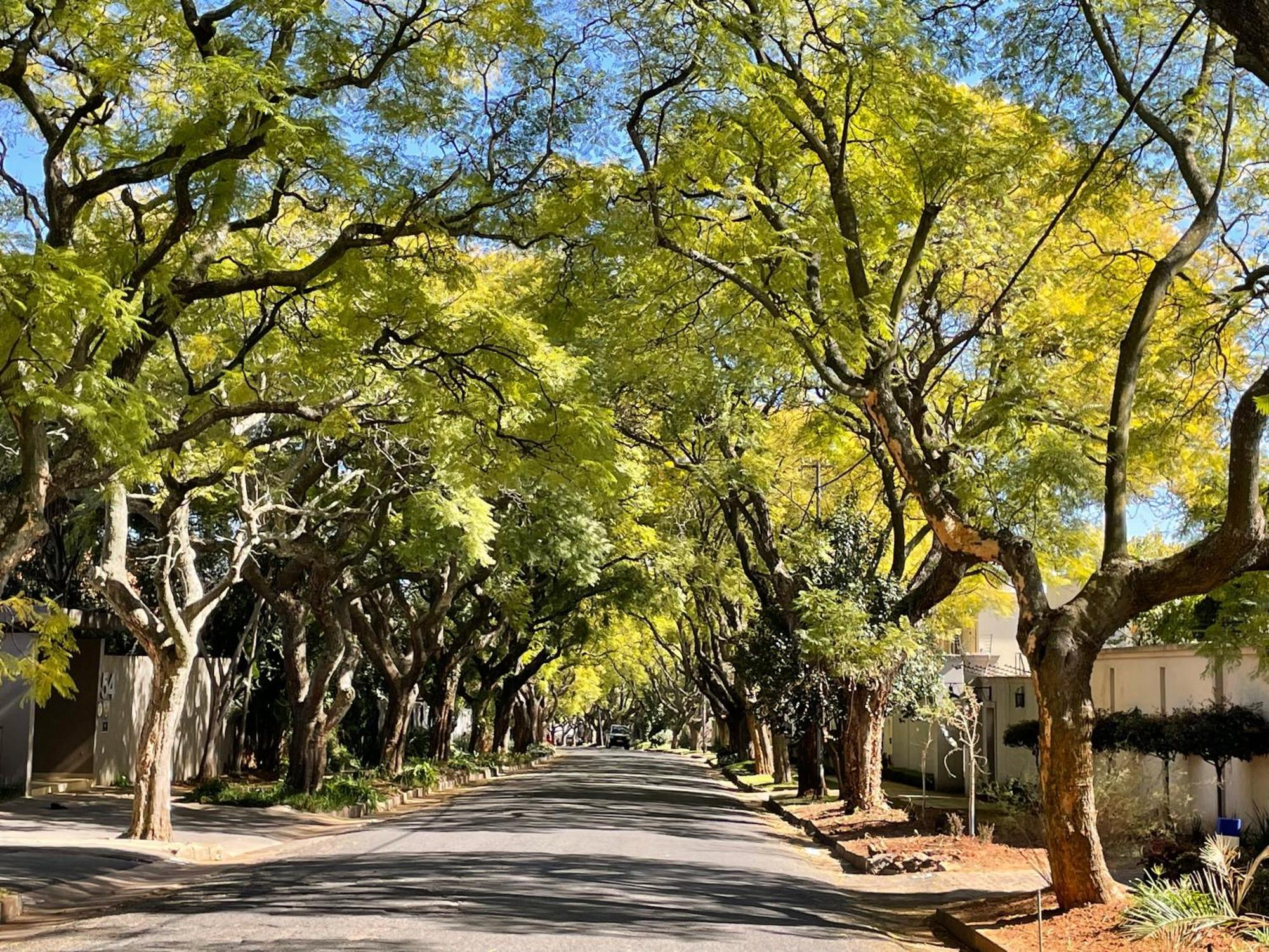 Of Synergy * Johannesburg