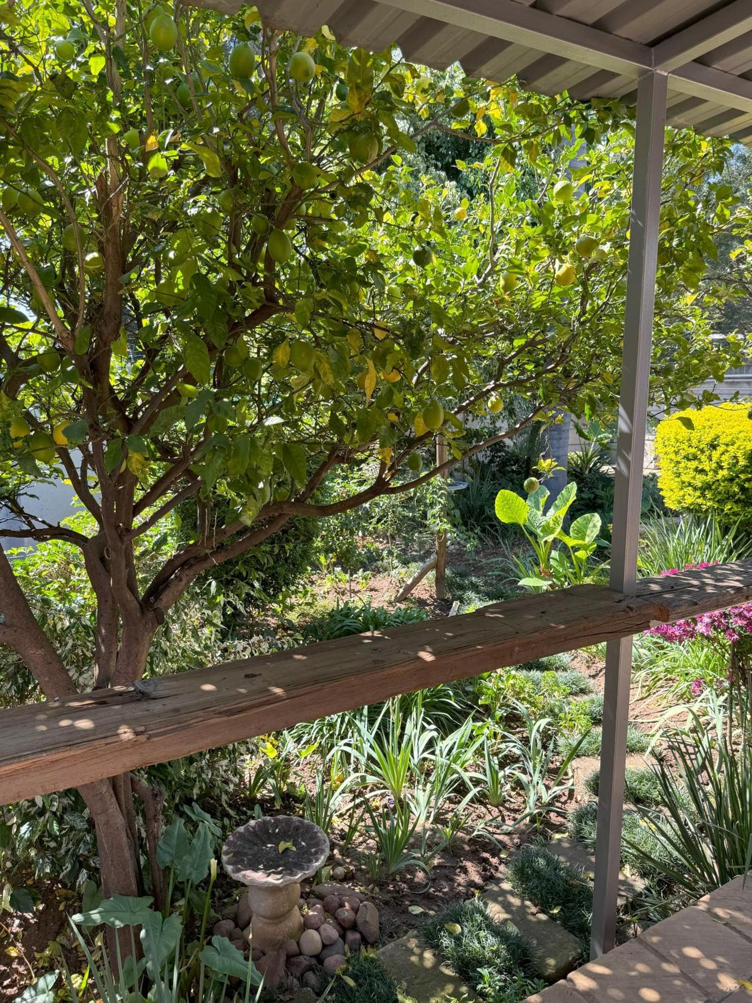 Tranquil Retreat - Malanshof Randburg