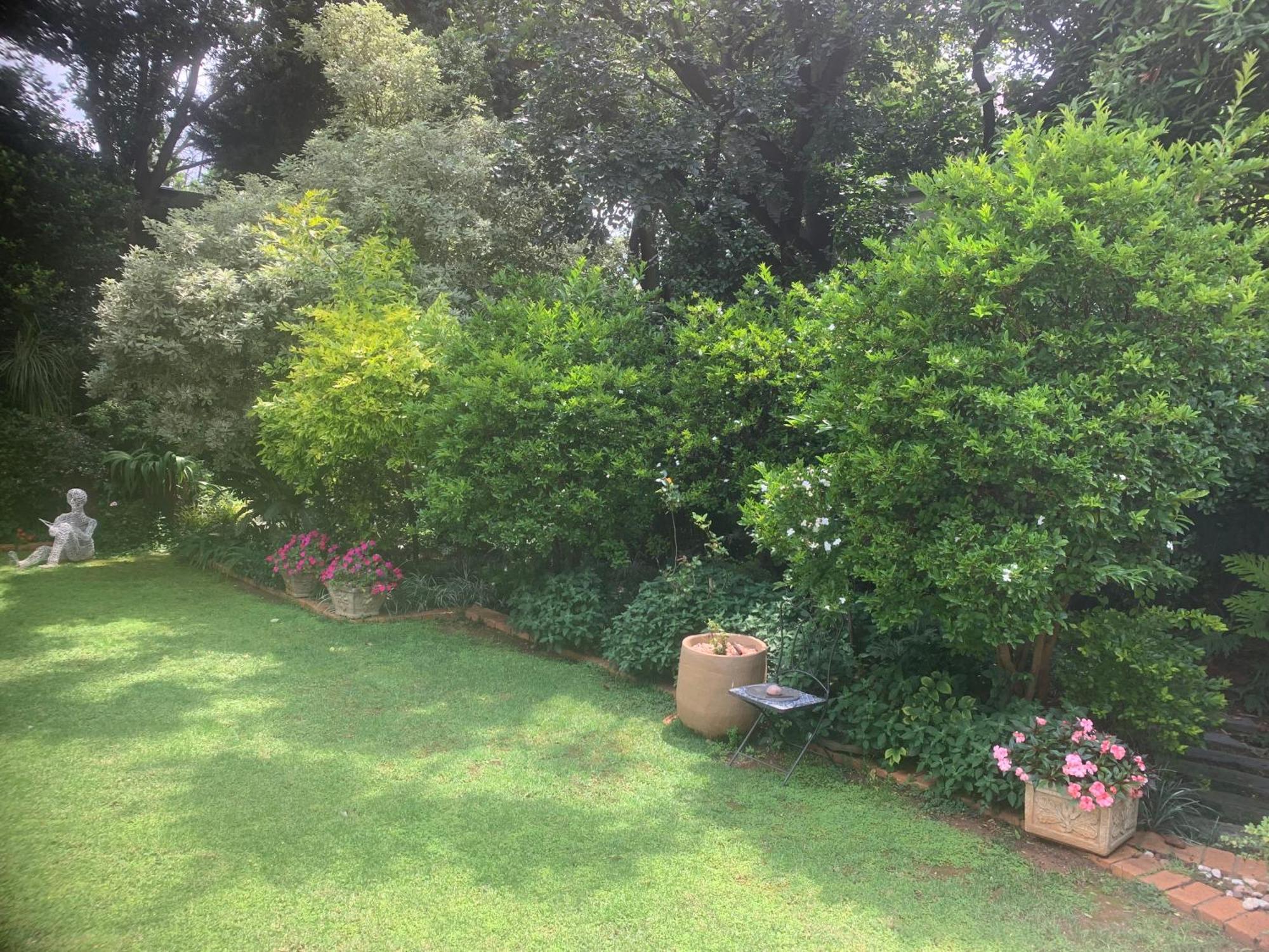 Leafy * Johannesburg