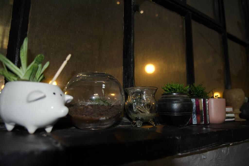 Maboneng Creative And Literary Oasis