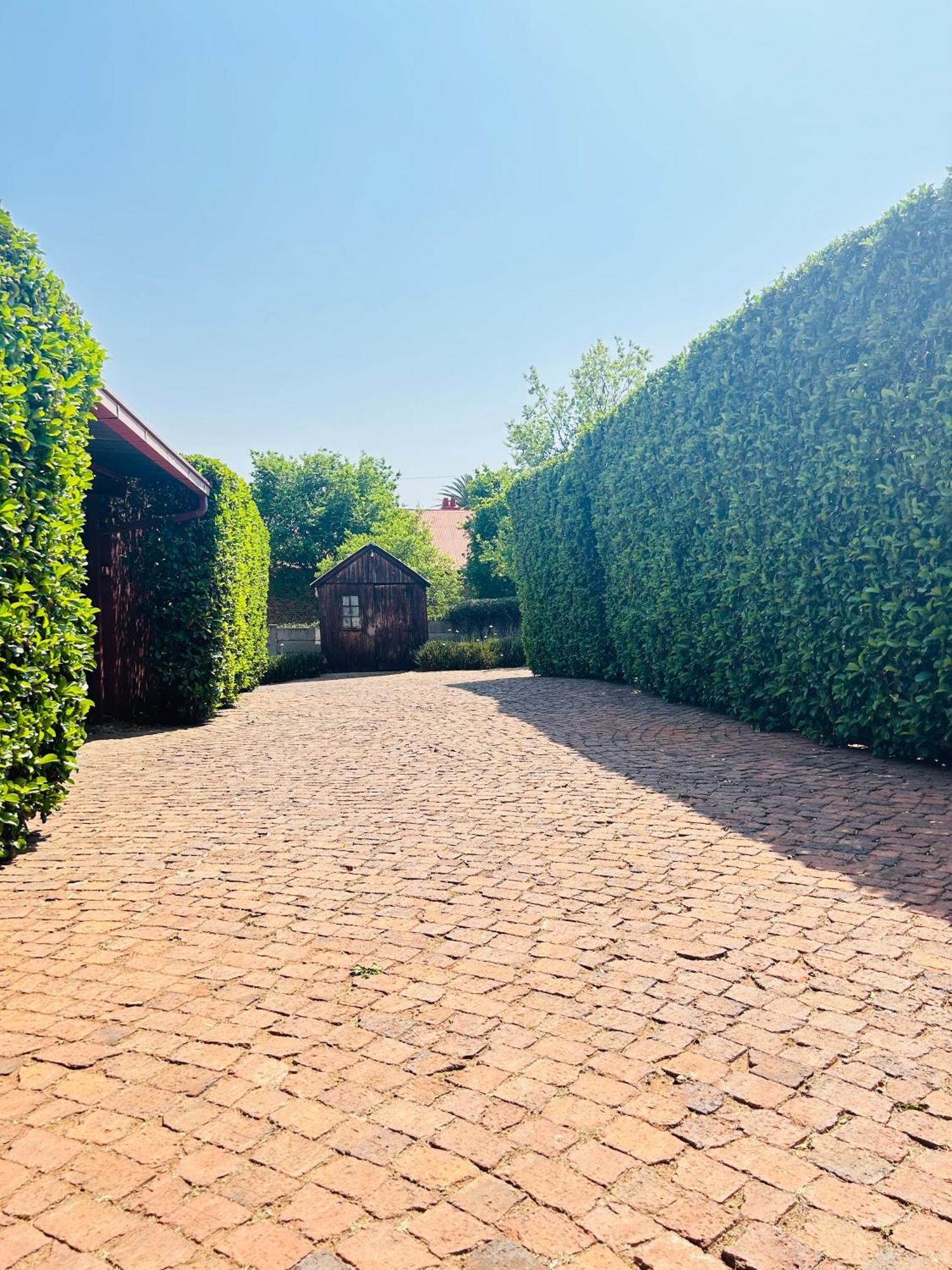 A Botanical Haven In Melville, * Johannesburg