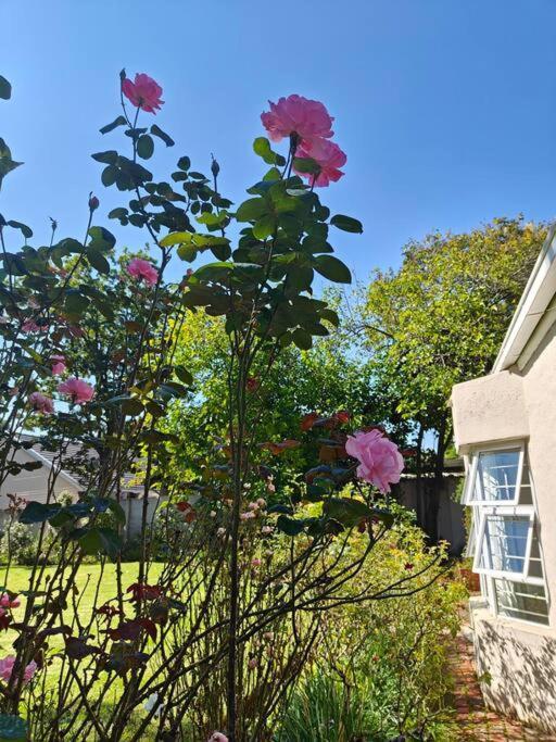 Blessed Luxury Into Nature In Sandton In Sandton * Joanesburgo