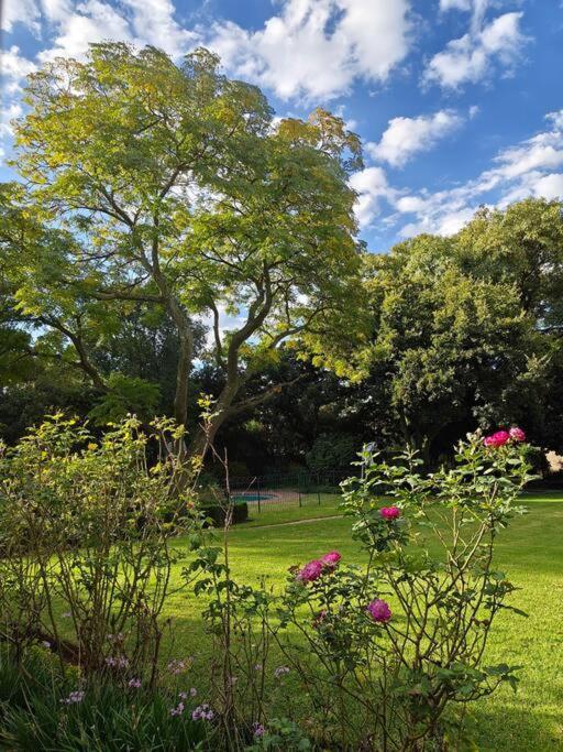 Blessed Luxury Into Nature In Sandton In Sandton Casa de férias Joanesburgo