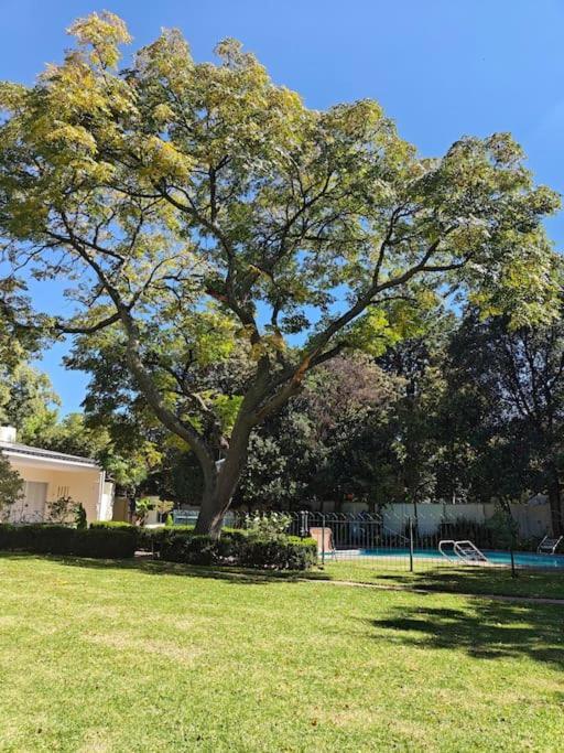 Blessed Luxury Into Nature In Sandton In Sandton Casa de férias Joanesburgo