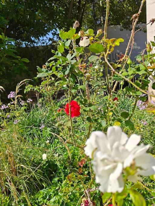 Blessed Luxury Into Nature In Sandton In Sandton Casa de férias