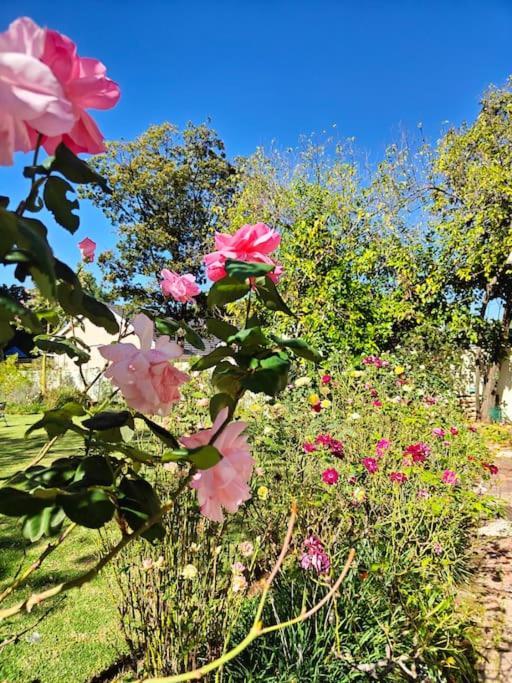 Casa de férias Blessed Luxury Into Nature In Sandton In Sandton *