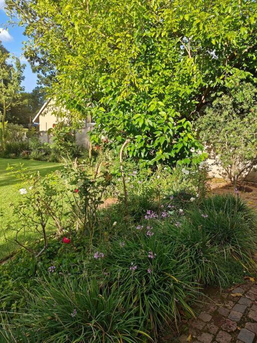 Blessed House Luxury Into Nature In Sandton Holiday home *
