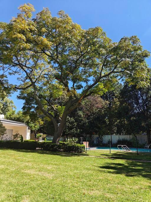 Blessed House Luxury Into Nature In Sandton Holiday home