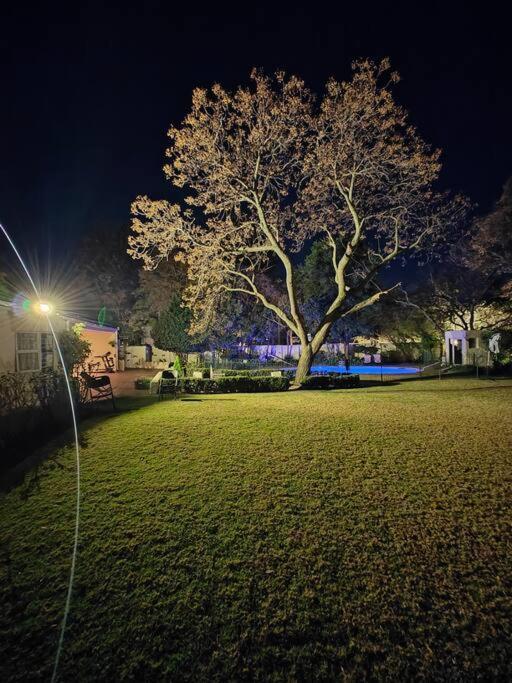 Blessed House Luxury Into Nature In Sandton Holiday home Johannesburg