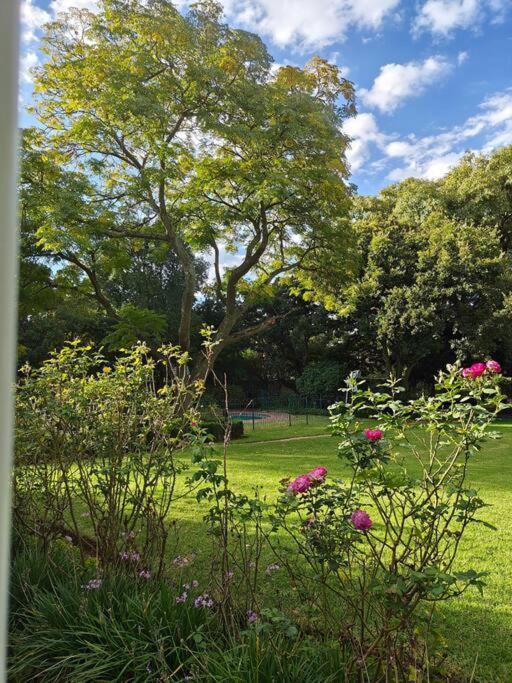 Blessed House Luxury Into Nature In Sandton Holiday home Johannesburg