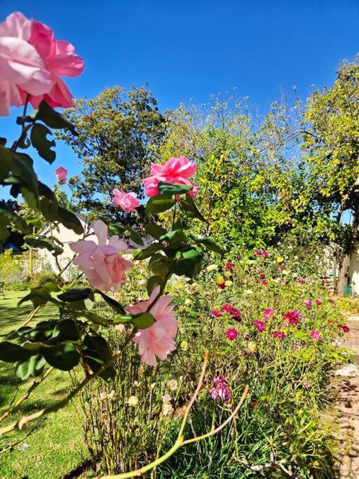 Blessed House Luxury Into Nature In Sandton Johannesburg