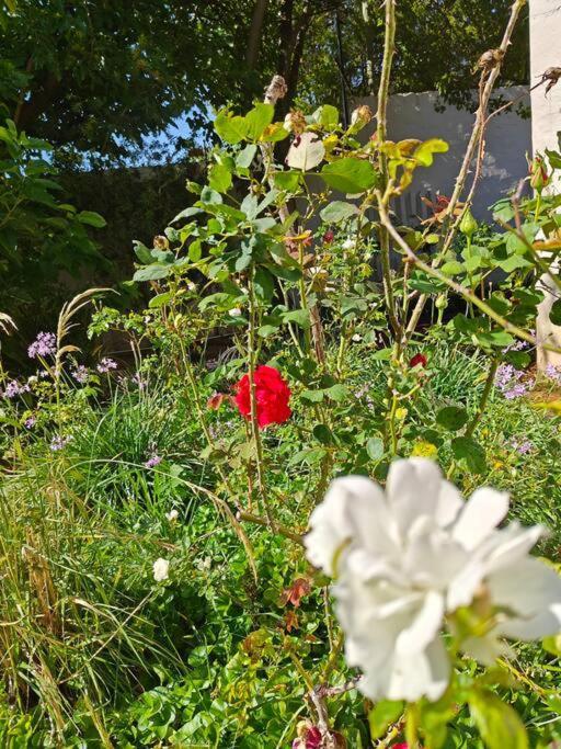 Blessed House Luxury Into Nature In Sandton Johannesburg