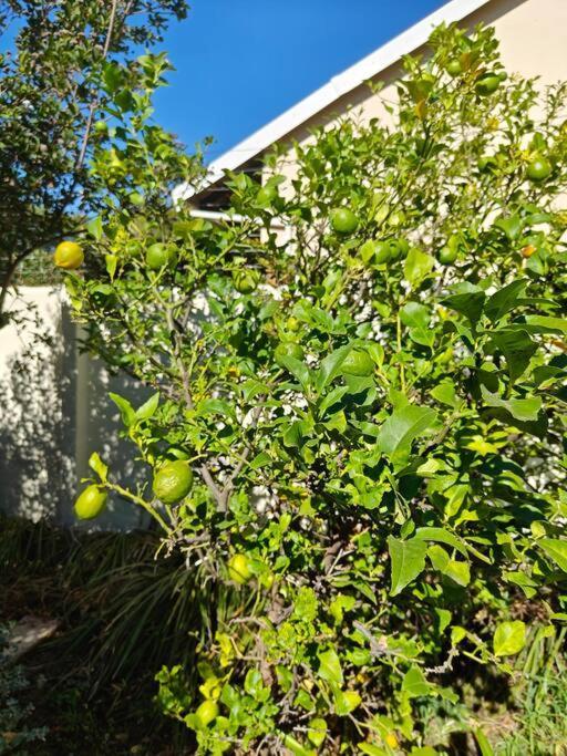 Holiday home Blessed House Luxury Into Nature In Sandton *