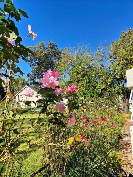 Blessed House Luxury Into Nature In Sandton * Johannesburg