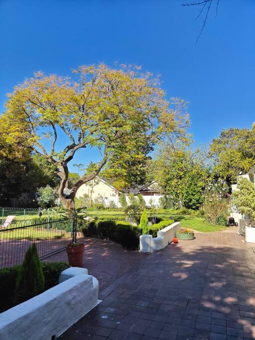 Blessed House Luxury Into Nature In Sandton Holiday home Johannesburg