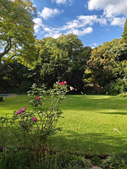 Blessed House Luxury Into Nature In Sandton Johannesburg