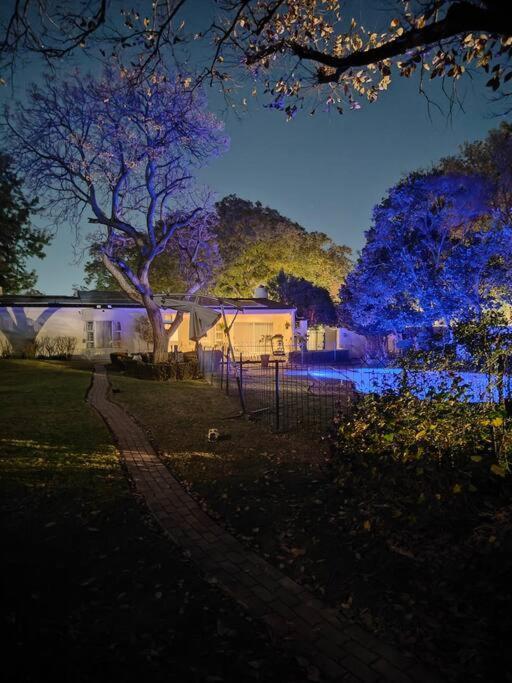 Blessed House Luxury Into Nature In Sandton