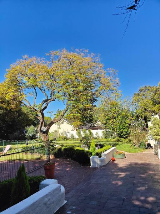 Blessed House Luxury Into Nature In Sandton *