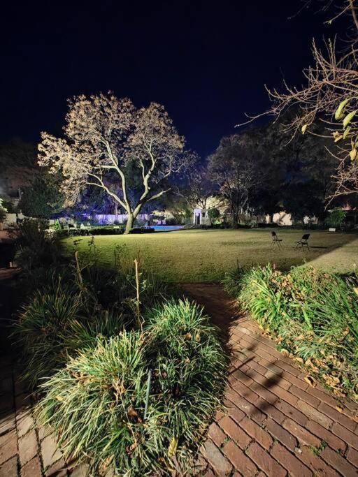 Blessed House Luxury Into Nature In Sandton Johannesburg