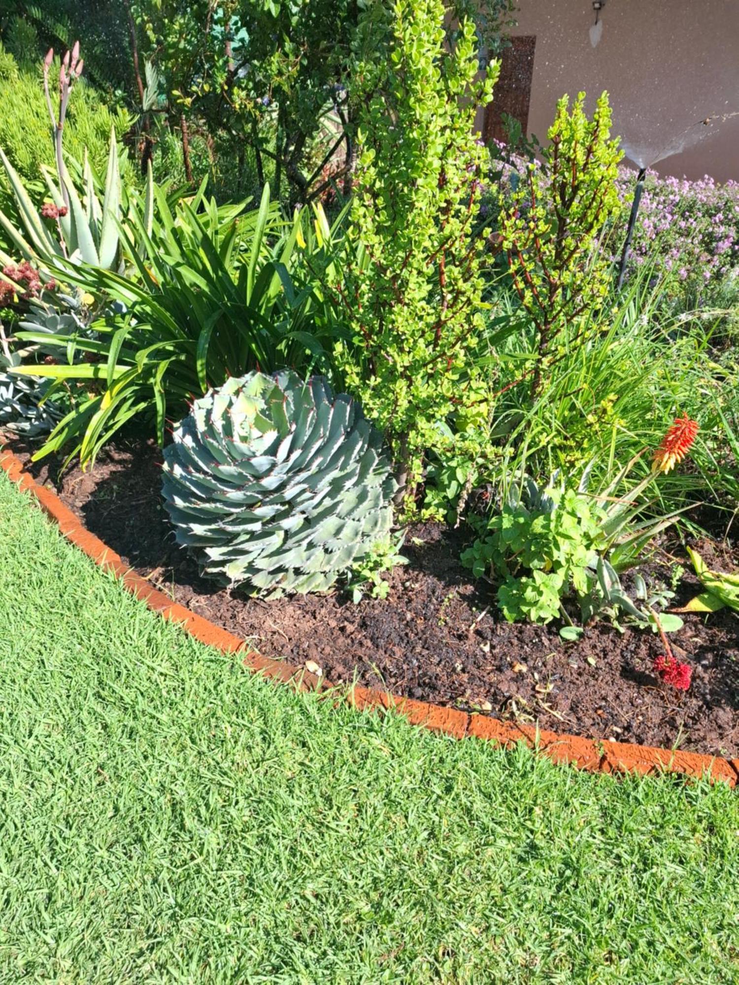 Villa54, Sandton Bed & Breakfast Johannesburg