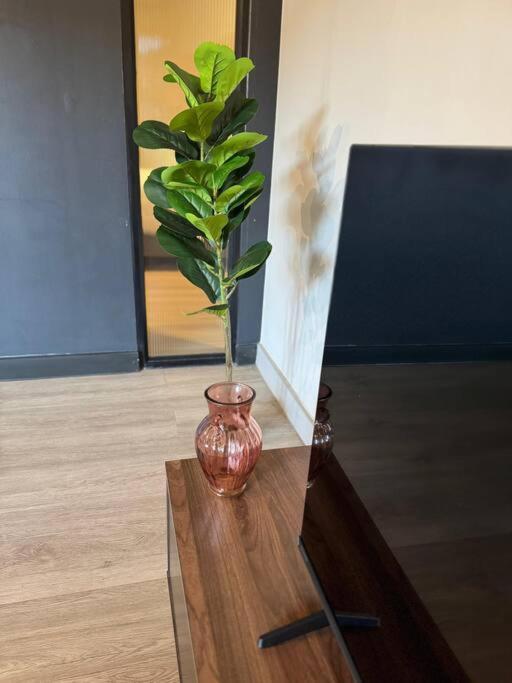 The Lineal Sandton Apartment Johannesburg