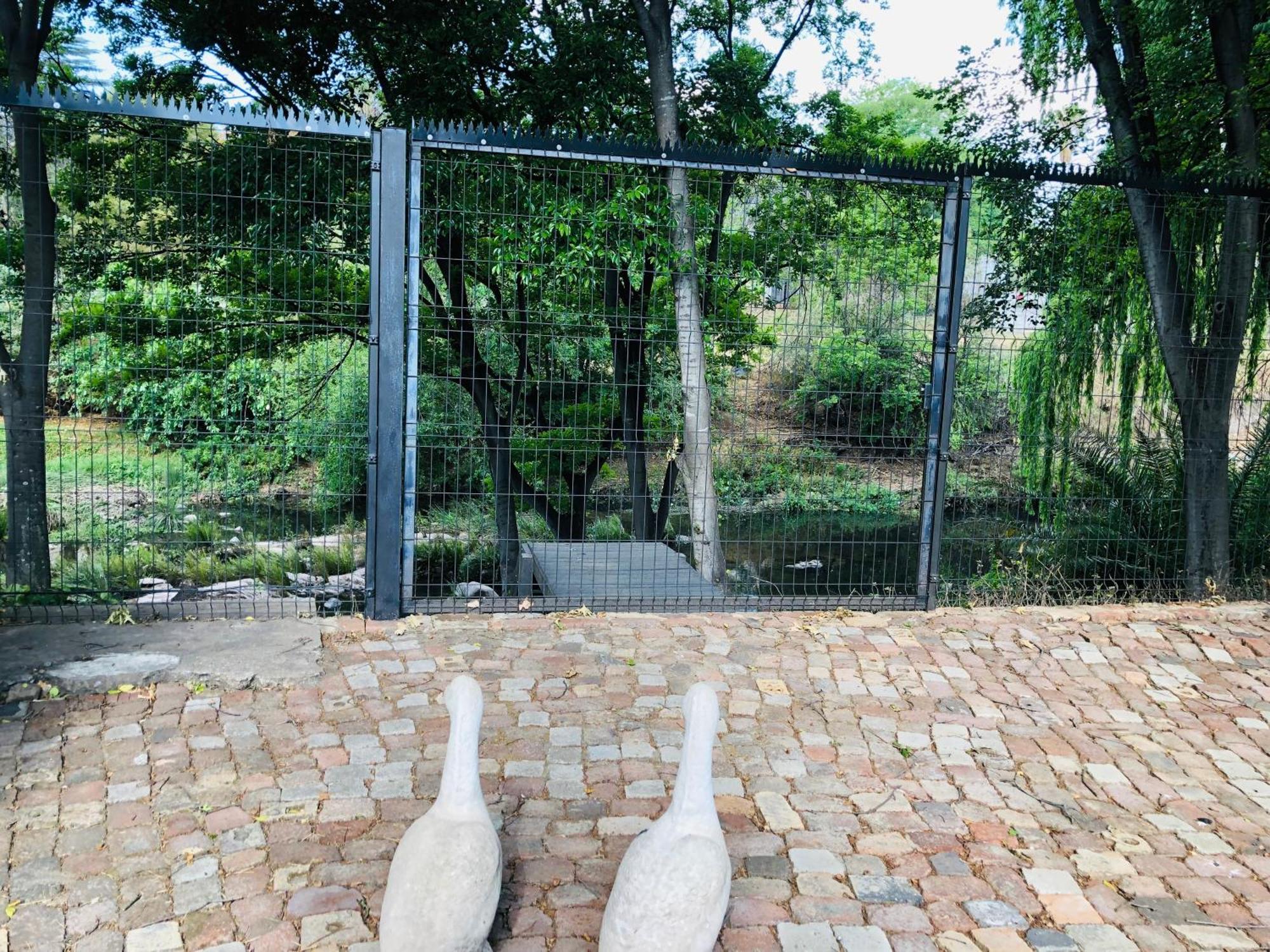 River Guest house Johannesburg