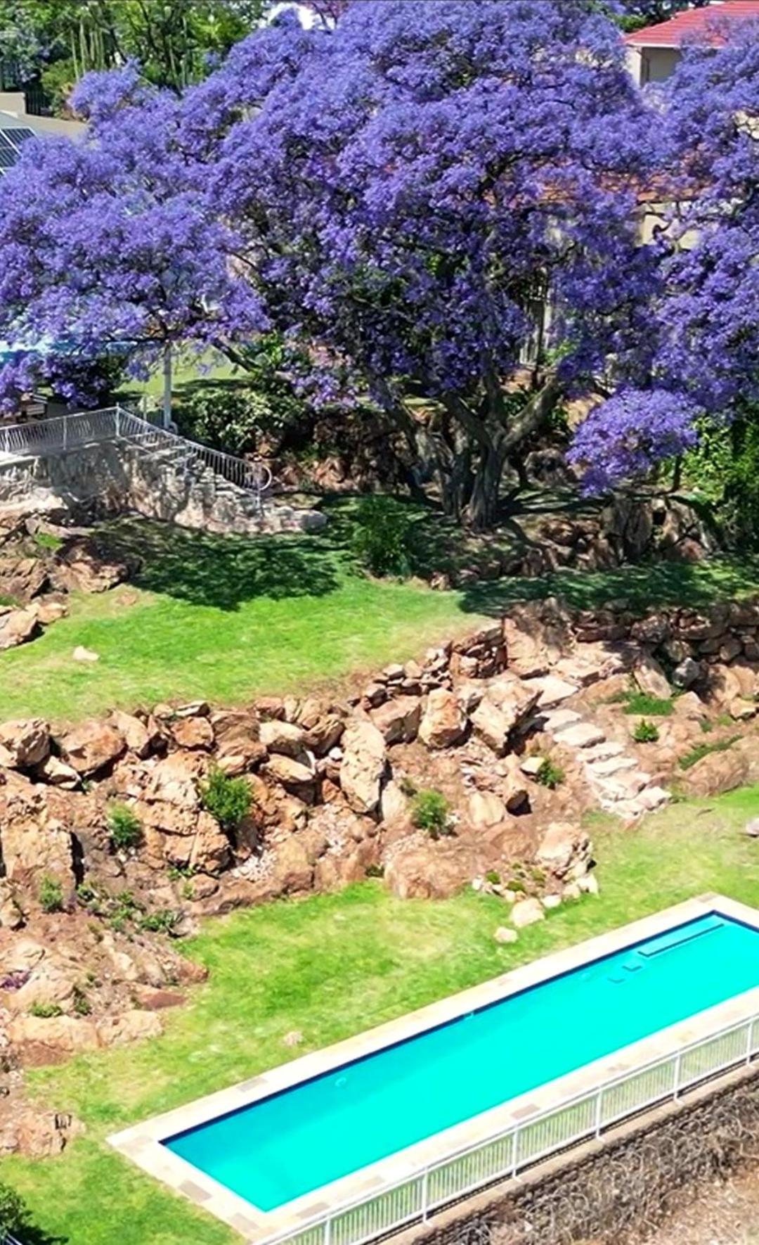 Fishbird Art Deco Guest house Johannesburg