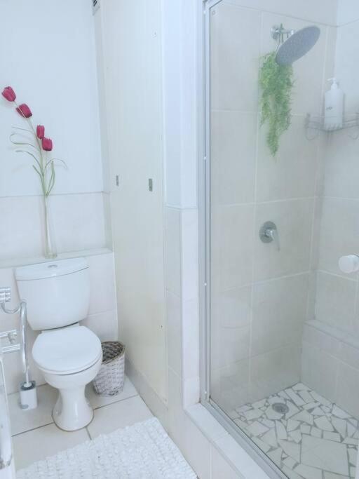 Apartment Westpoint Your Urban Oasis Johannesburg