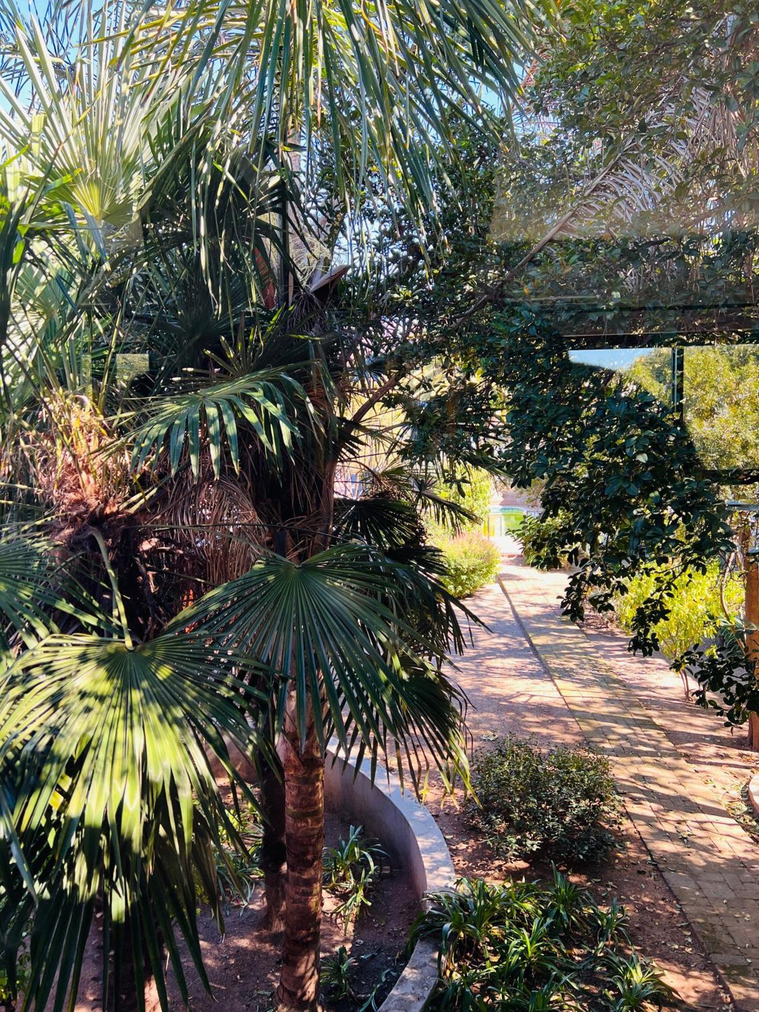 Luxury On 489 Khách sạn hẻo lánh Johannesburg