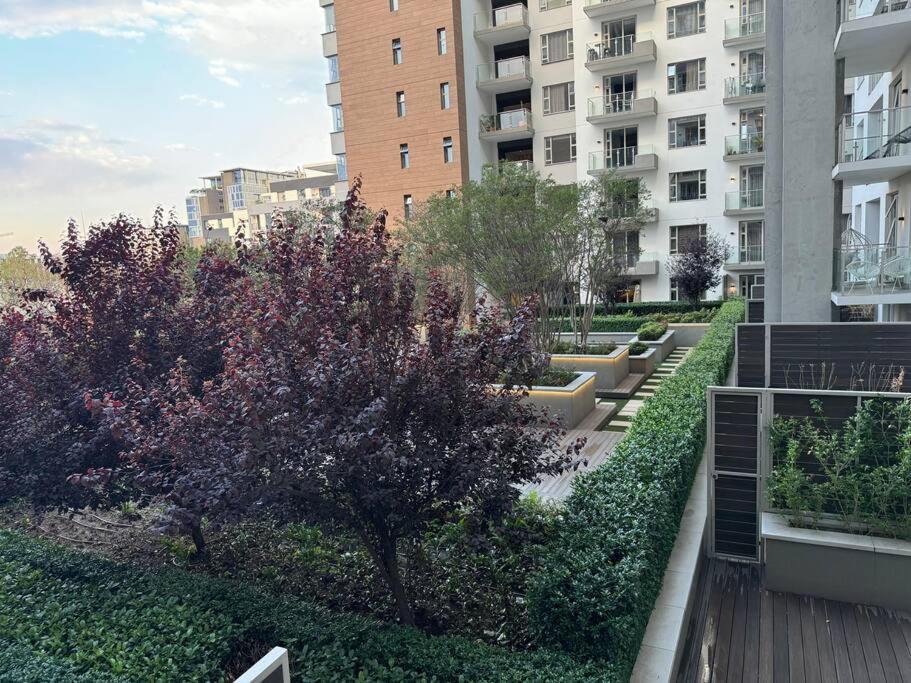 Peaceful Rosebank Gem! * Johannesburg