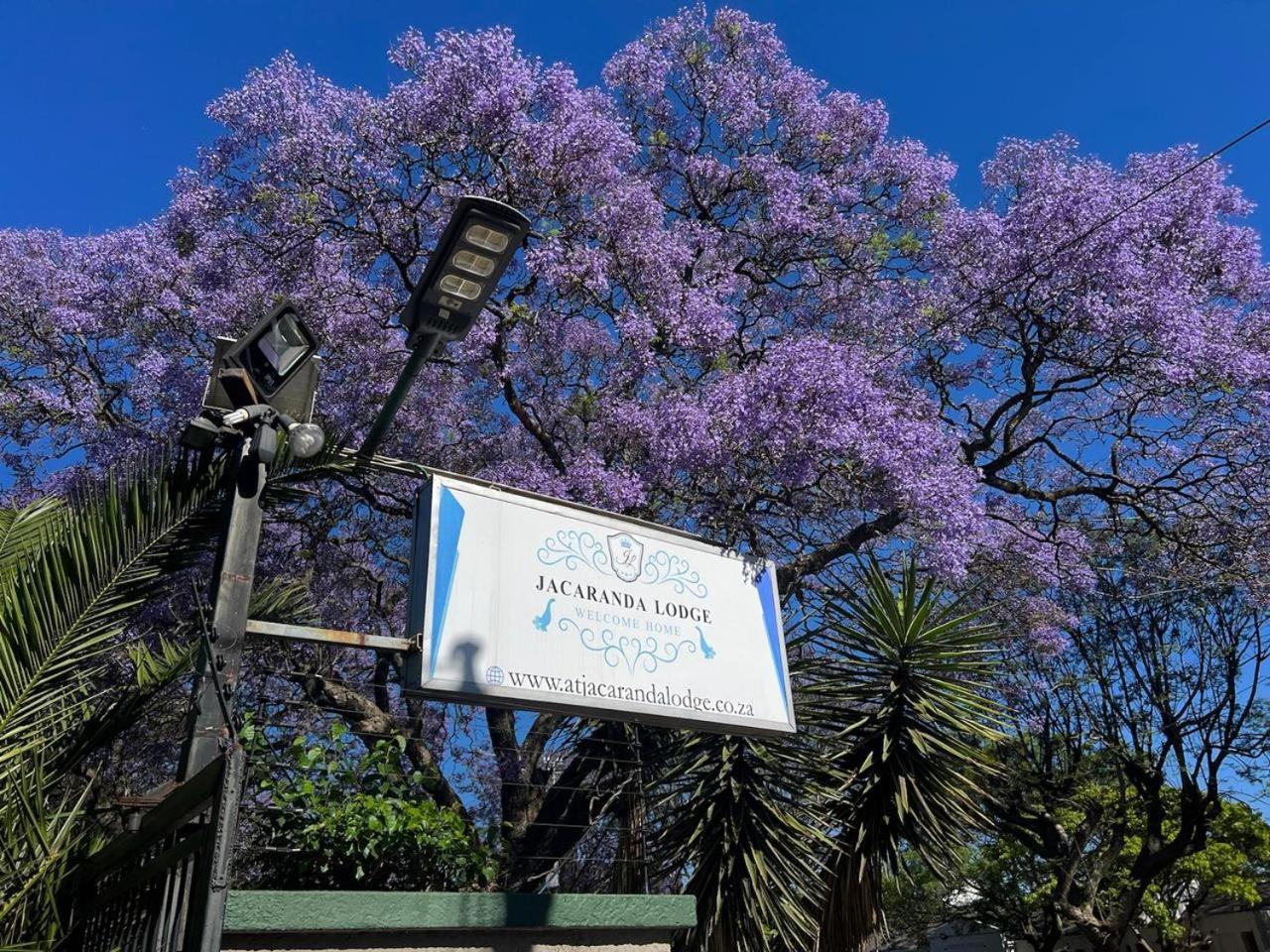 Guest house At Jacaranda *