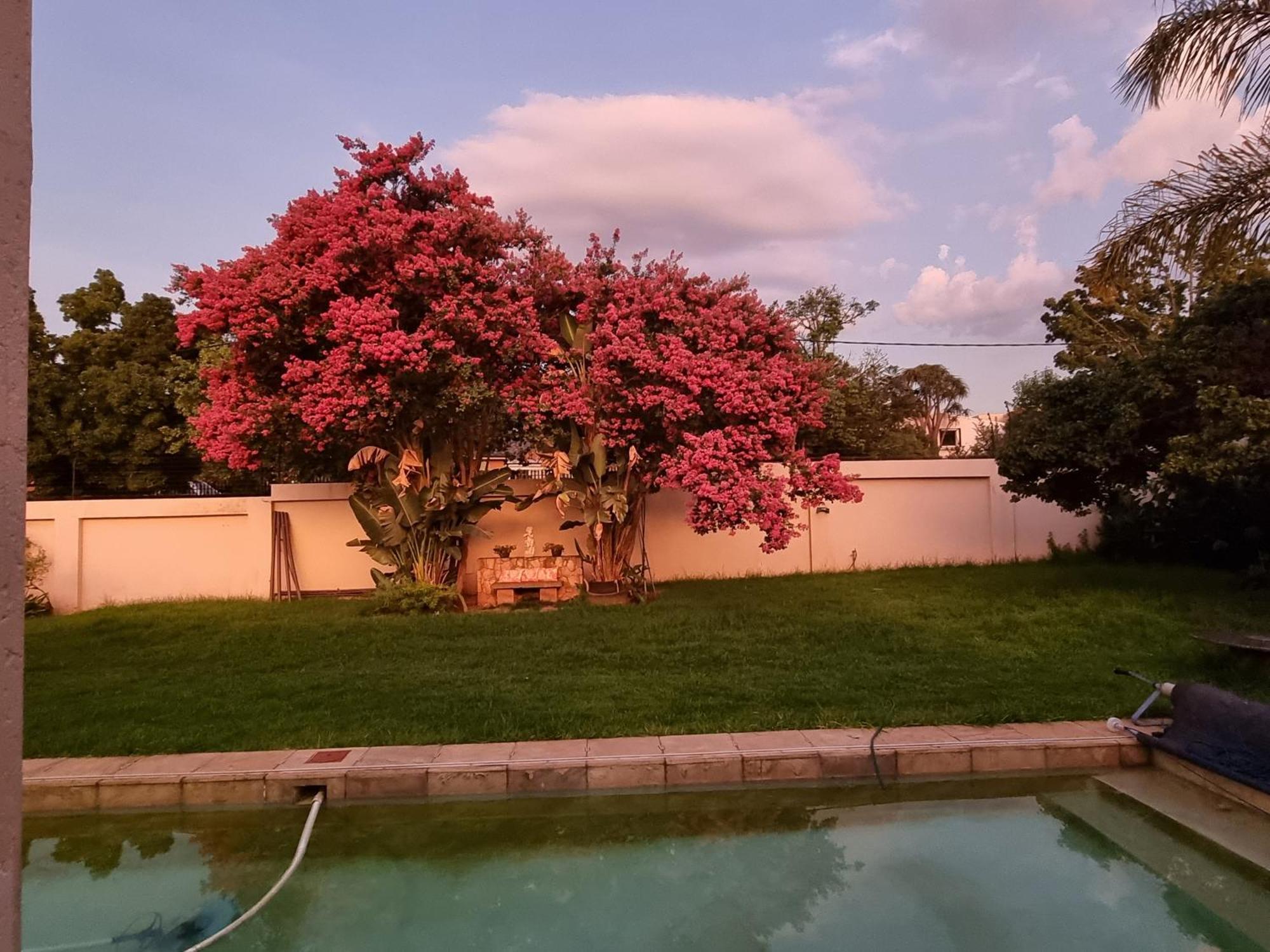 Bed & Breakfast 10 On Vaal Johannesburg