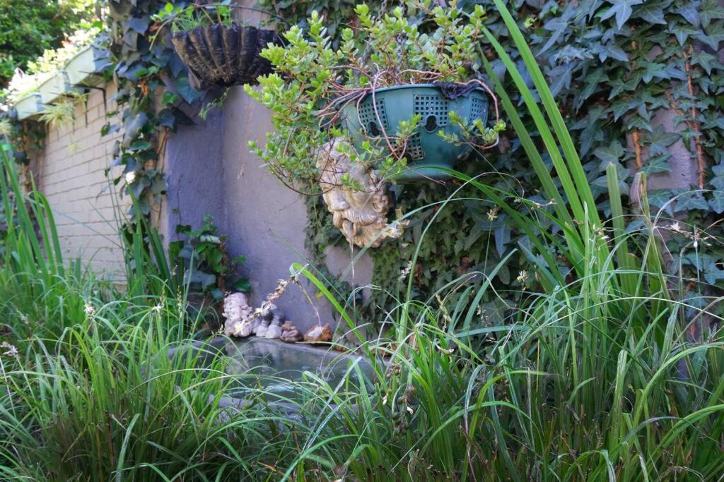 Sun Garden *
