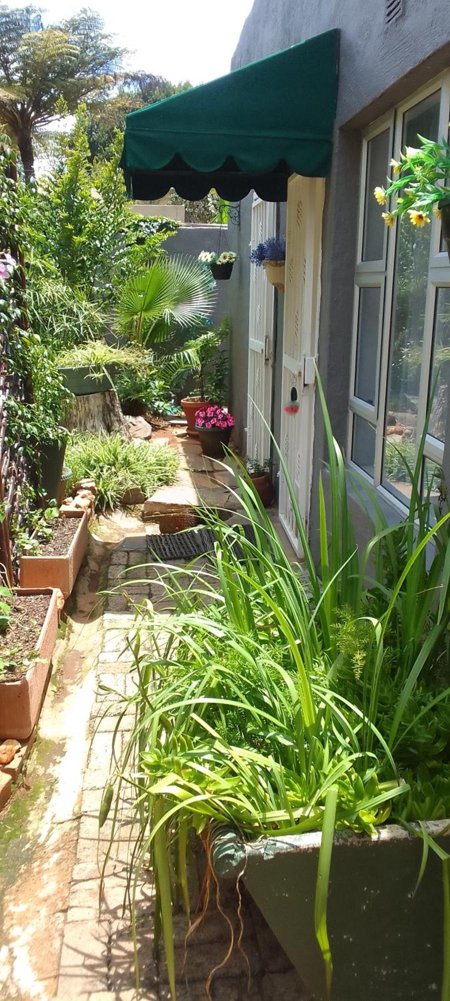 Sun Garden *