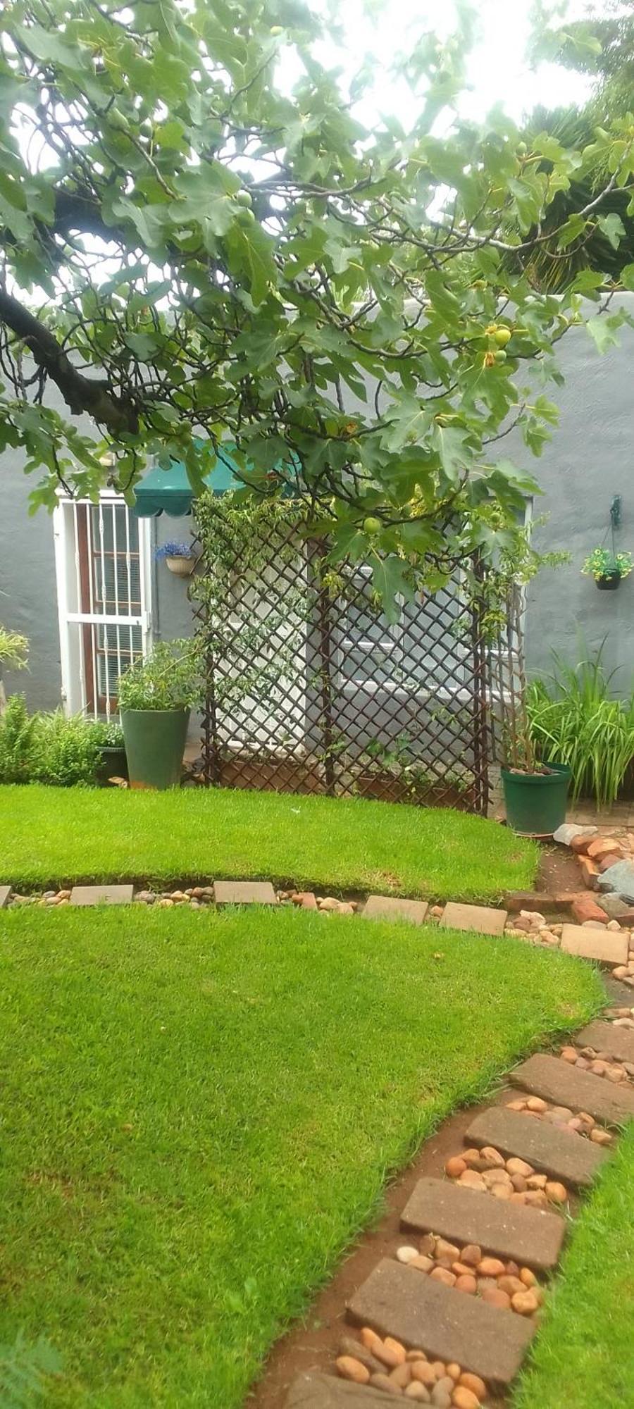 Sun Garden
