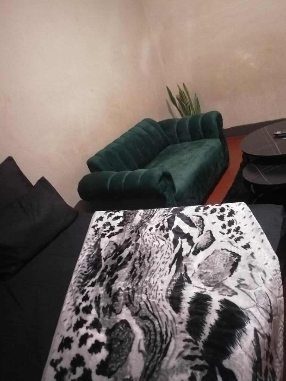 Fancy Private In Yeoville Johannesburg