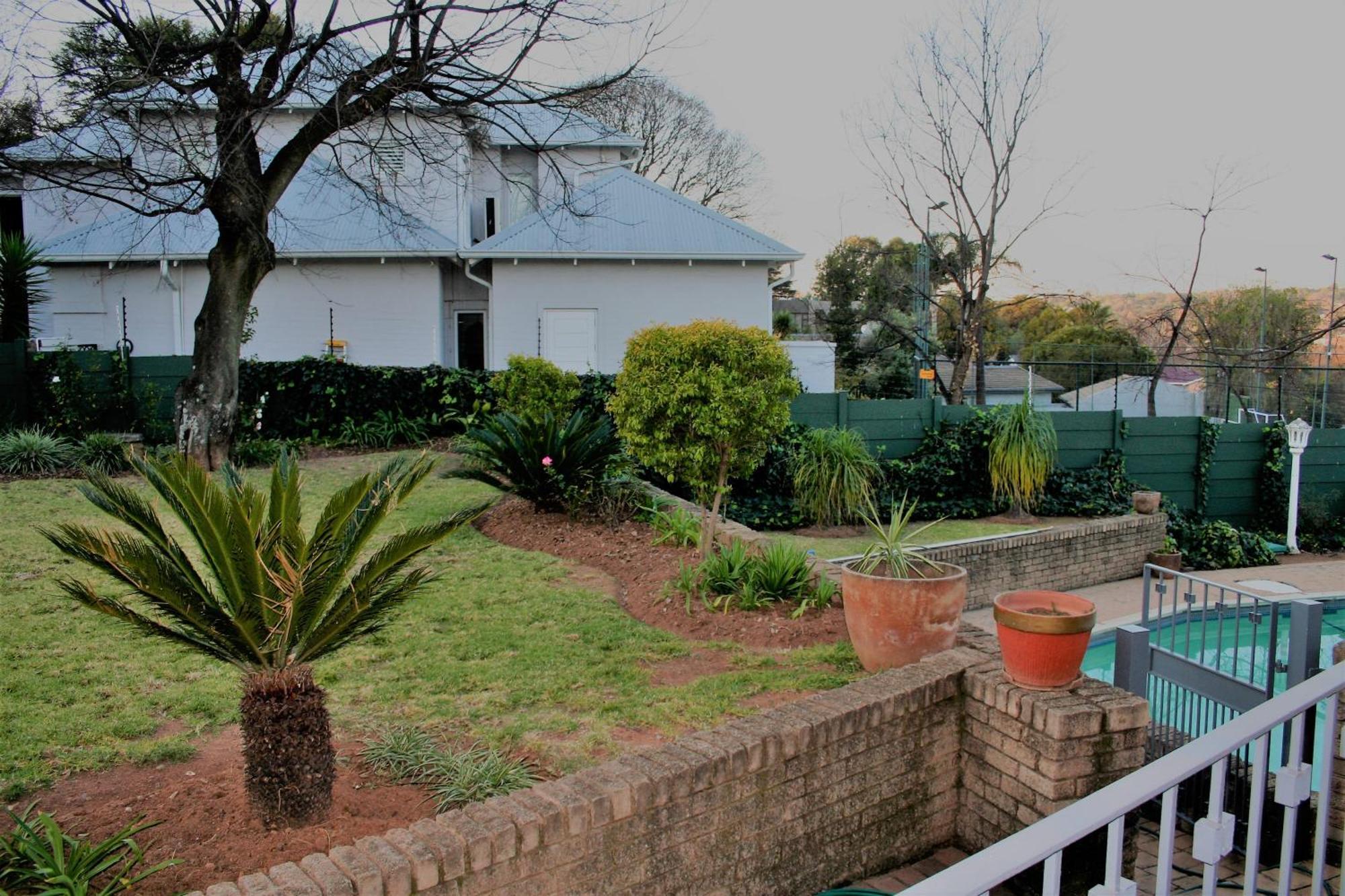 Moonflower * Johannesburg