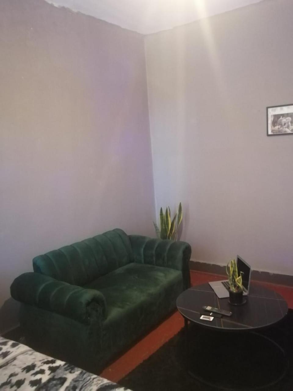 Homestay Fancy Private In Yeoville Johannesburg