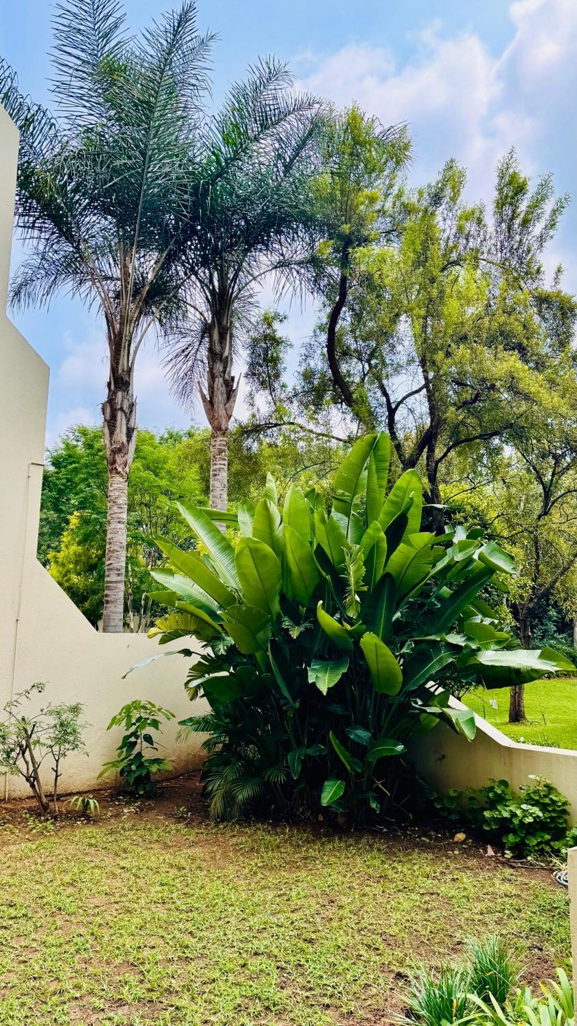 Room, In A Shared Haven In The Heart Of Sandton Homestay *