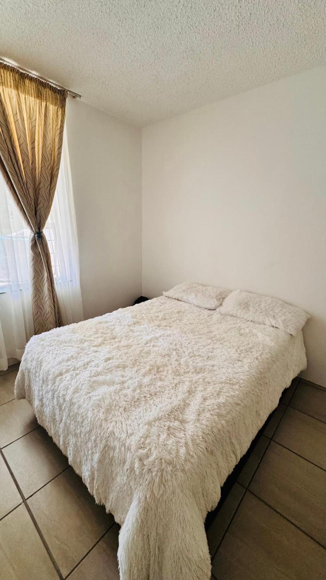 Room, In A Shared Haven In The Heart Of Sandton Homestay Johannesburg