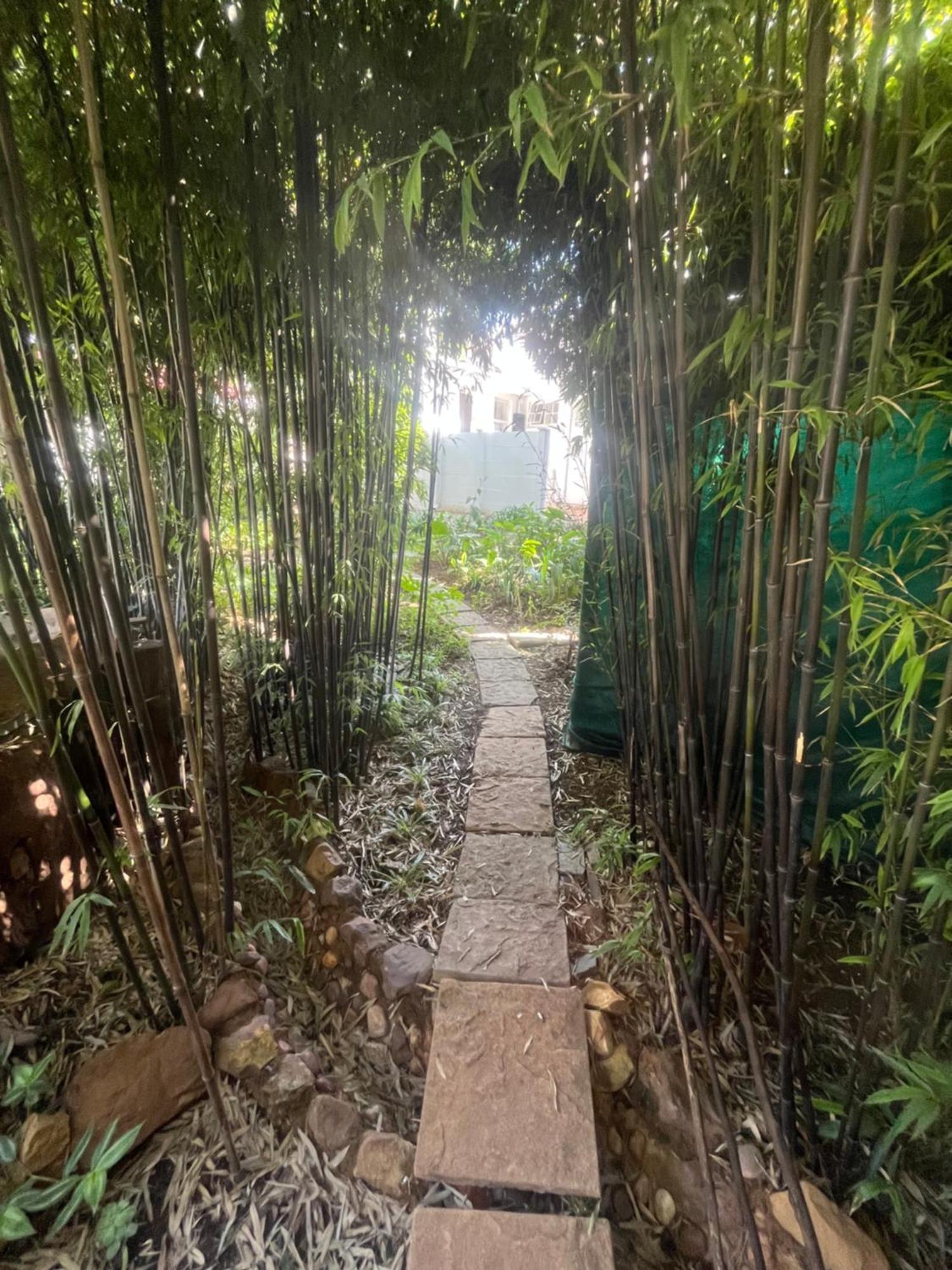 Lighthouse Sanctuary Johannesburg