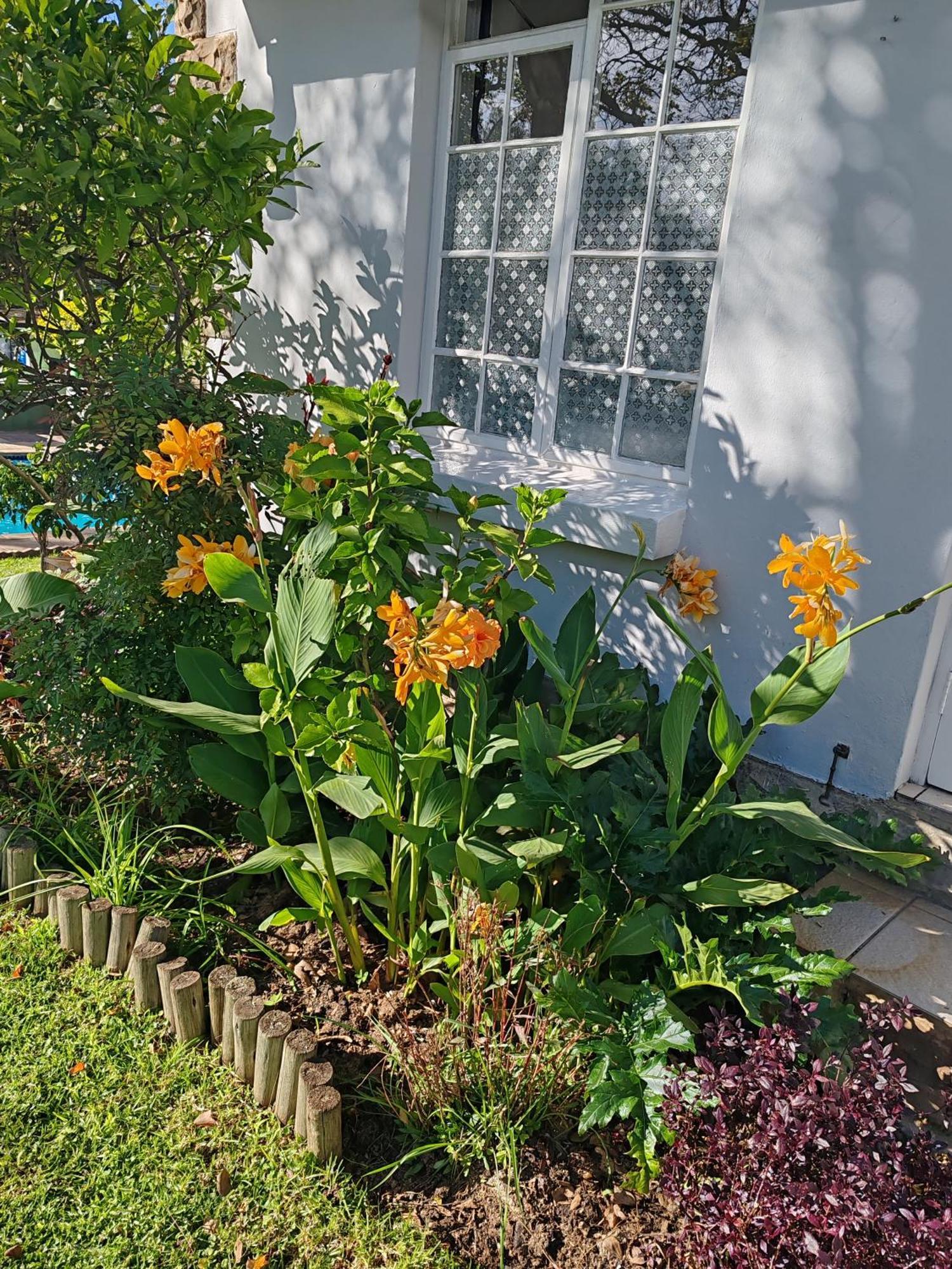 Bed & Breakfast Sandton Spring Rivonia Johannesburg
