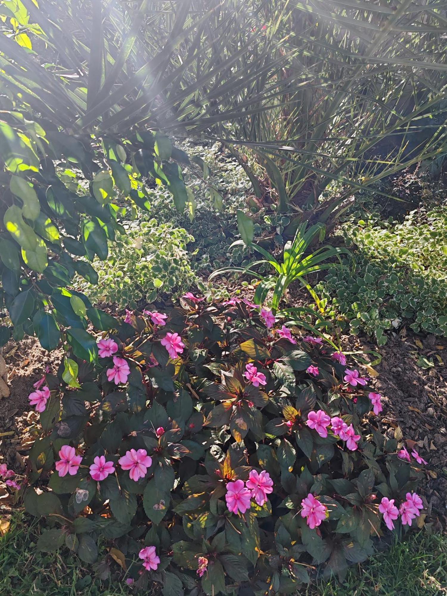 Sandton Spring Rivonia Bed & Breakfast Johannesburg