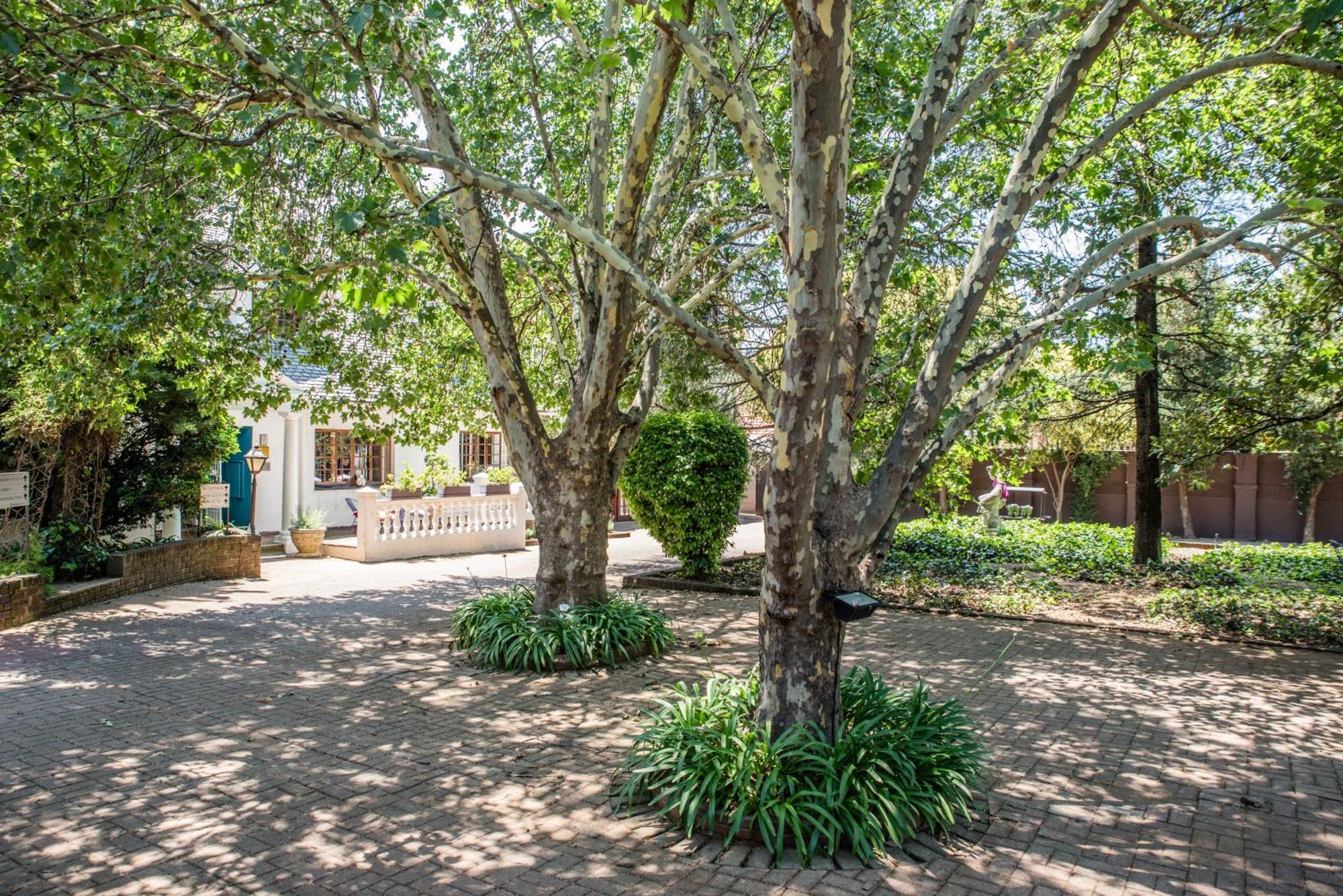 5th Avenue Gooseberry Johannesburg