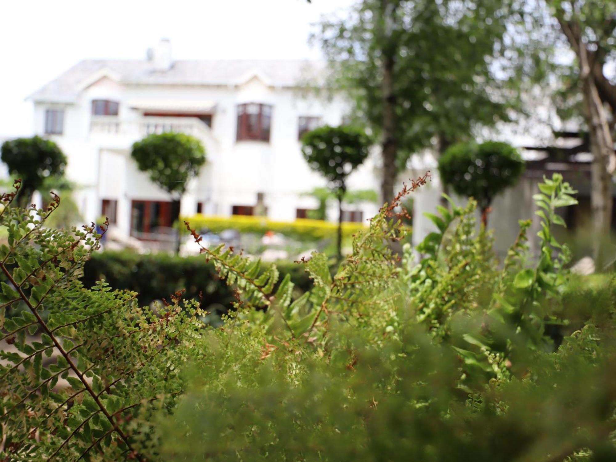 Guest house 5th Avenue Gooseberry 4*