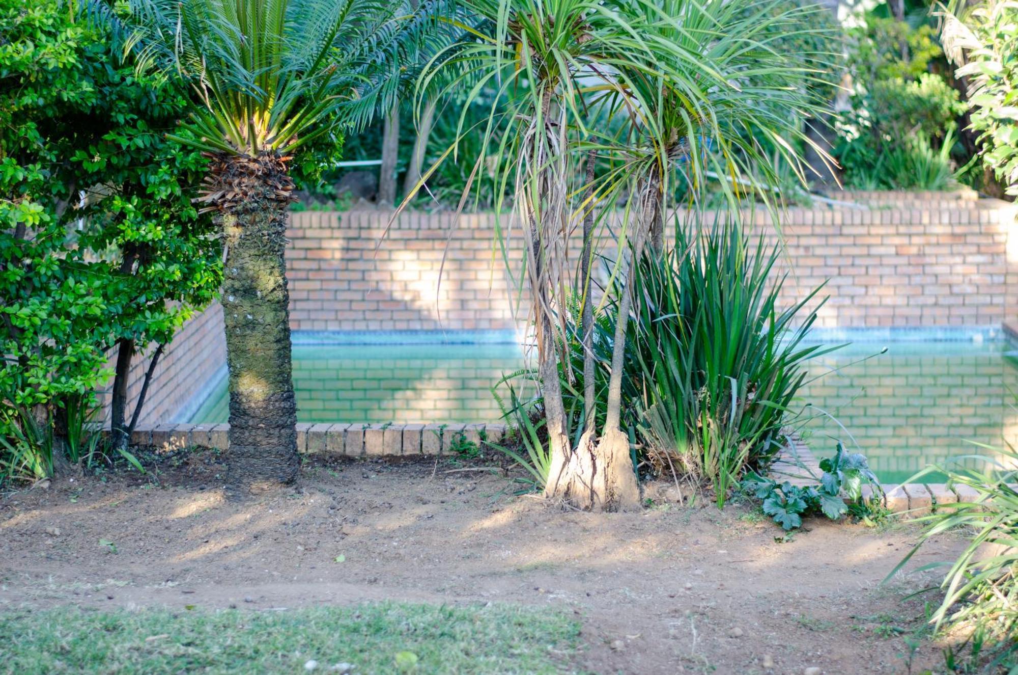 Dreamnest Bed & Breakfast *