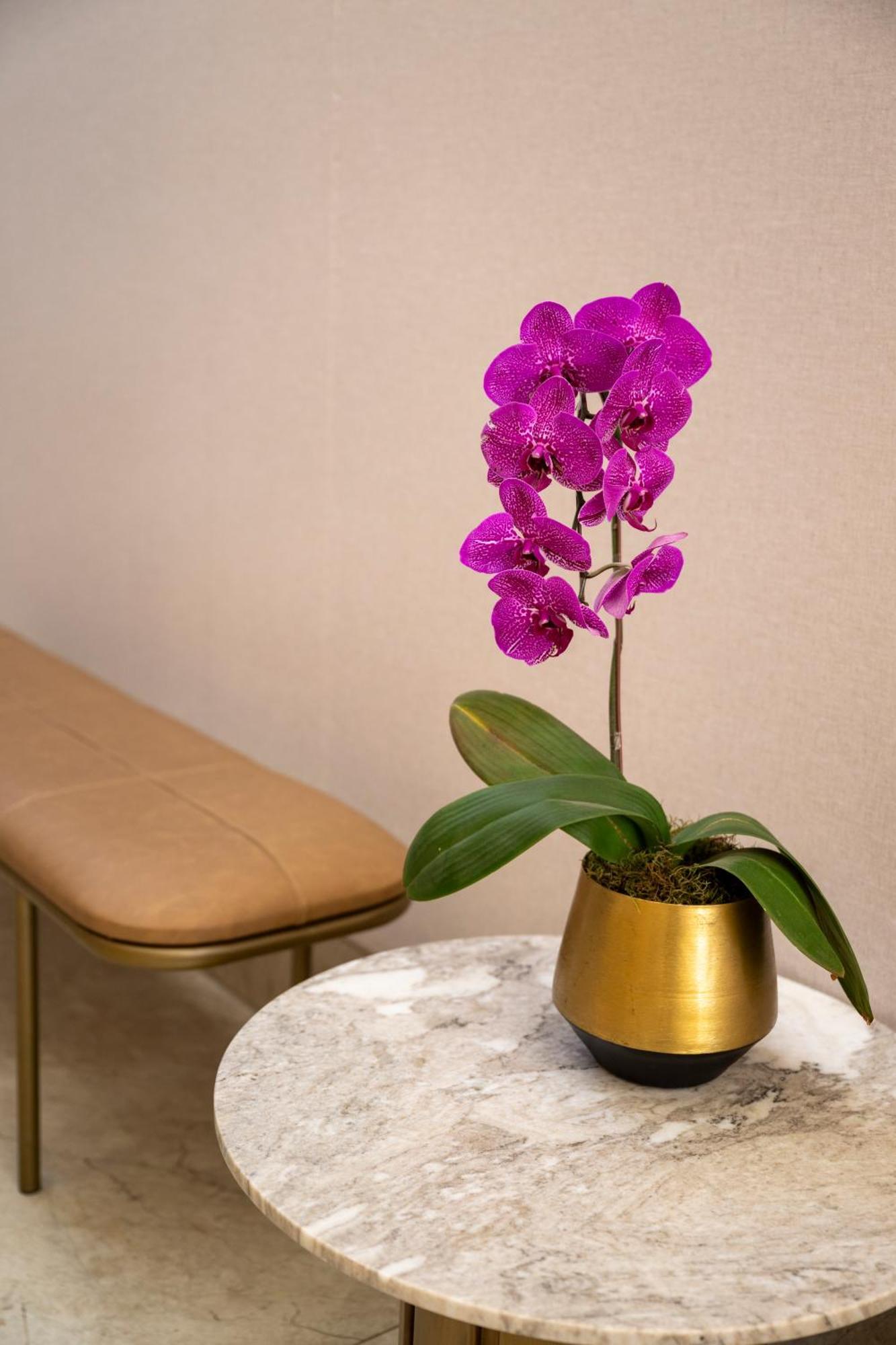 Khách sạn hẻo lánh One Rosebank Executive Johannesburg
