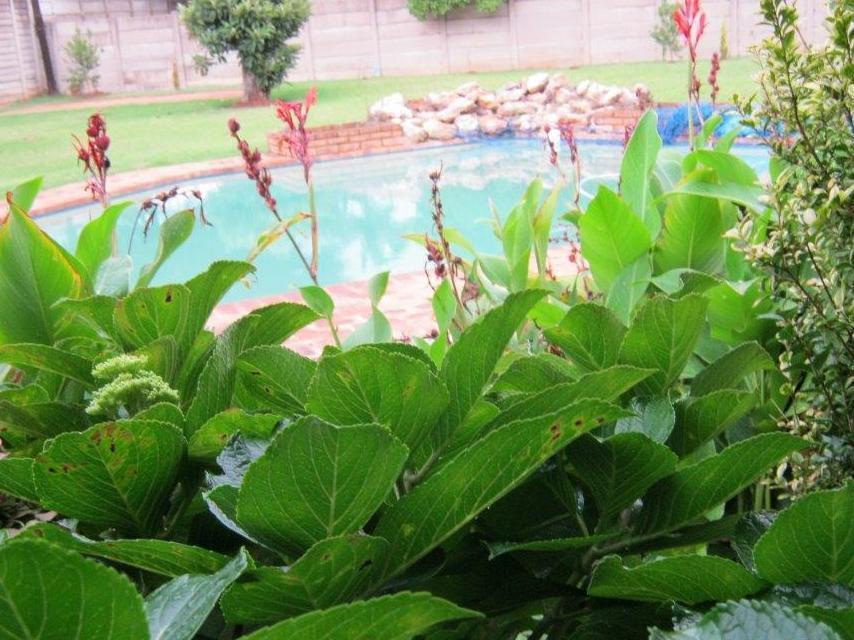 Albergue Terrylin And Backpackers (adults Only) *