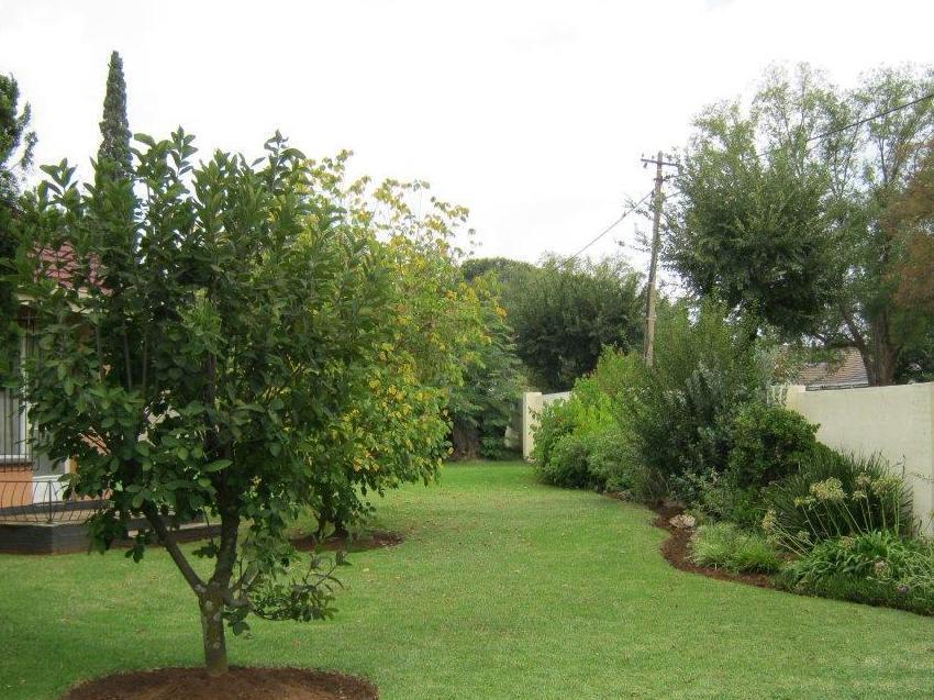 Terrylin And Backpackers (adults Only)