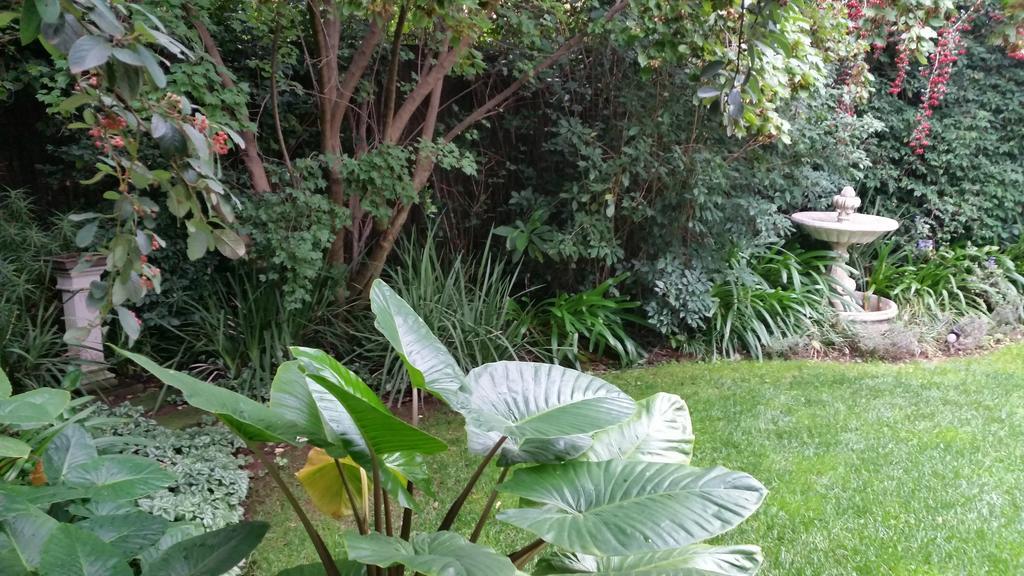 Rosebank By Claires Guest house 2*